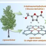 天科大司传领、王冠华等 ACS Catal.：具有增强Co负载量的木质素衍生Co单原子催化剂在温和条件下定向转化HMF为FDCA