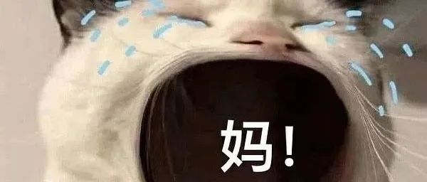 “今天吃什么？” “吃妈妈！”