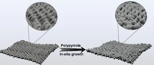 浙江理工大学《Cellulose》：新方法！大规模制备高导电碳化织物，用于柔性电子设备等