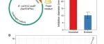 文献分享 | Angew | 同位素标记单细胞拉曼光谱法追踪细菌耐药性生理进化轨迹