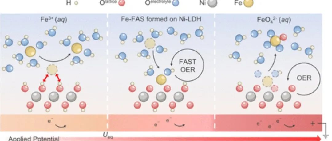 OER，清华大学最新JACS！