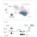 CNS, Nature Reviews Gastroenterology & Hepatology | 期刊学习