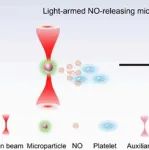 Nano Lett：体内光驱动一氧化氮释放微马达