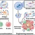 ACS Nano综述：肿瘤微环境源性外泌体“双刃剑”用于实现T细胞基免疫治疗