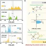 中国科学院大学刘向峰、张天然AFM：调控p带中心构筑稳定的全固态锂硫电池双固-固界面