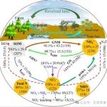 南京师范大学博士后一作在生态学顶刊（IF=10.8）发表最新研究进展！