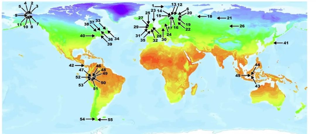 Science子刊！再现生态统计学超强应用技巧，R结构方程、生物群落统计分析、R-Meta分析核心技术、大尺度空间模拟与实践预测