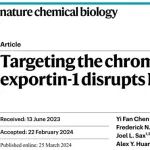 &#8203;Nat. Chem. Biol. |靶向细胞核输出蛋白XPO1破坏NFAT和T细胞活化