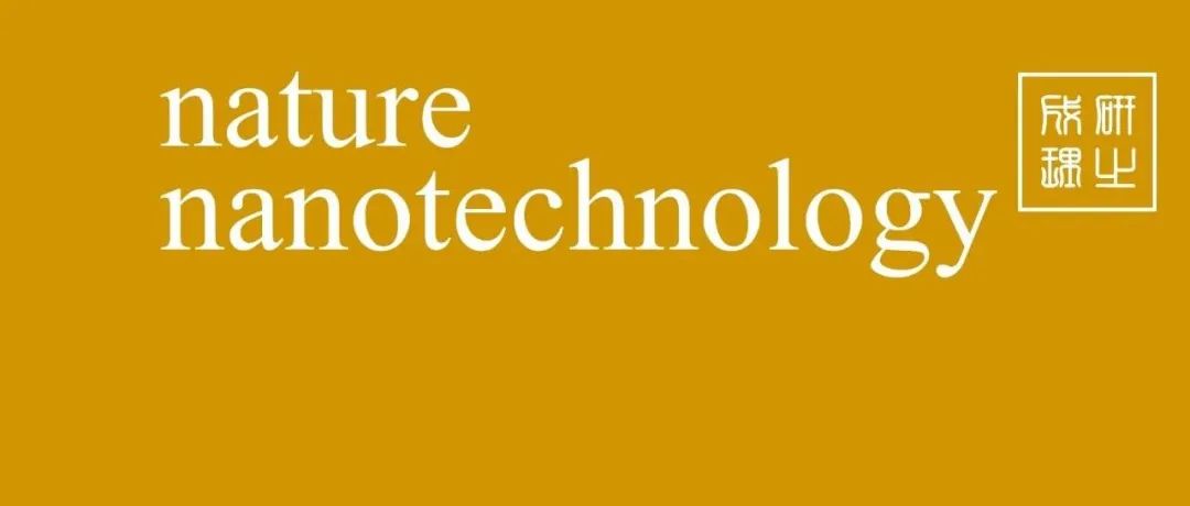 深圳大学，Nature Nanotechnology!