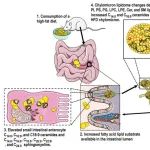 Nature Microbiology & Nature Reviews Microbiology | 期刊学习