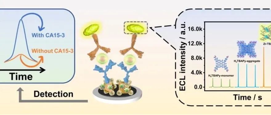 CEJ.基于AIEgens的发光金属有机框架作为新型电化学发光发射体结合共反应放大策略用于CA15-3检测