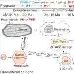 榴辉岩中低稀土总量的锆石与角闪石生长平衡 |王佳敏等-EPSL