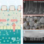 南大研究团队《Science》！清洁能源提取关键资源