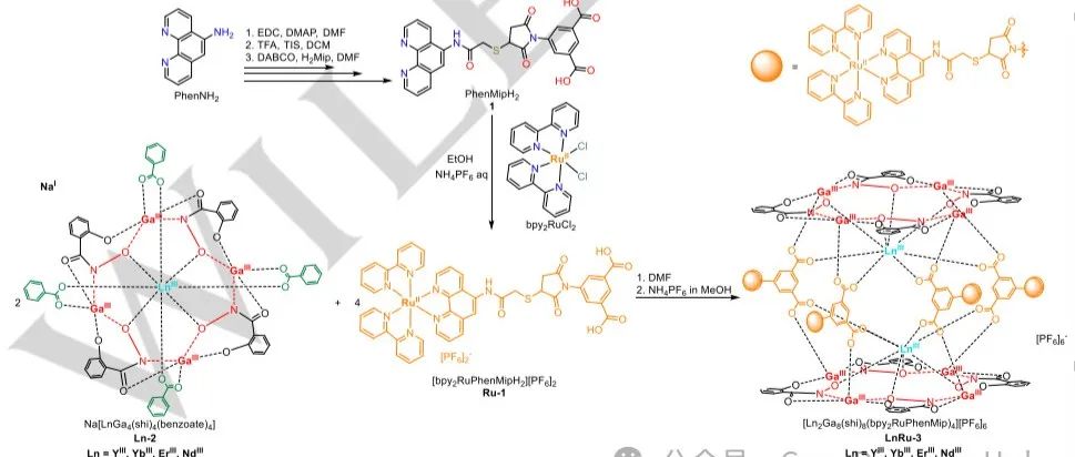 通过与RuII配合物的功能化，使LnIII/GaIII金属二聚体中YbIII、NdIII和ErIII的可见光增敏NIR-II成像