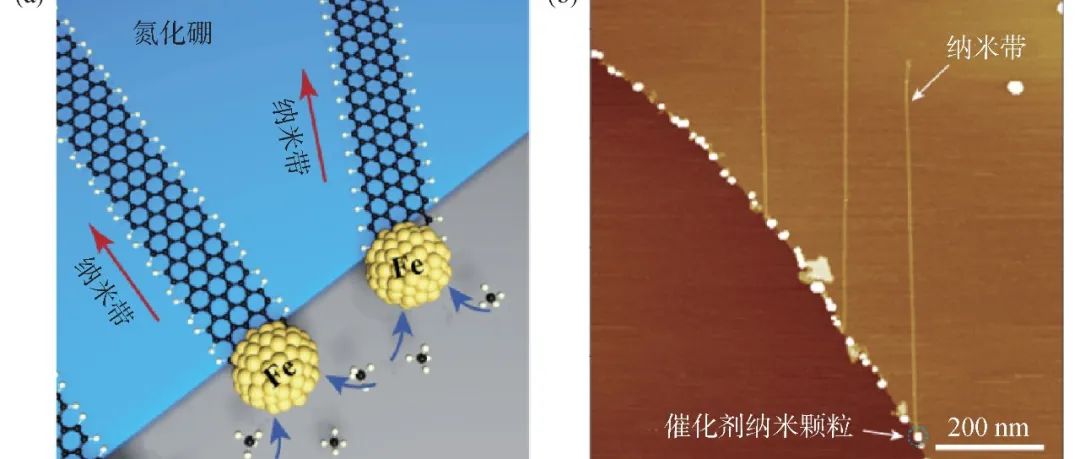 面向未来高性能电子器件的石墨烯纳米带