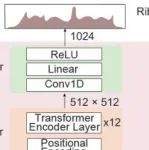 浙江大学熊旭深团队 | Transformer语言模型，预测翻译调控并解析疾病变异