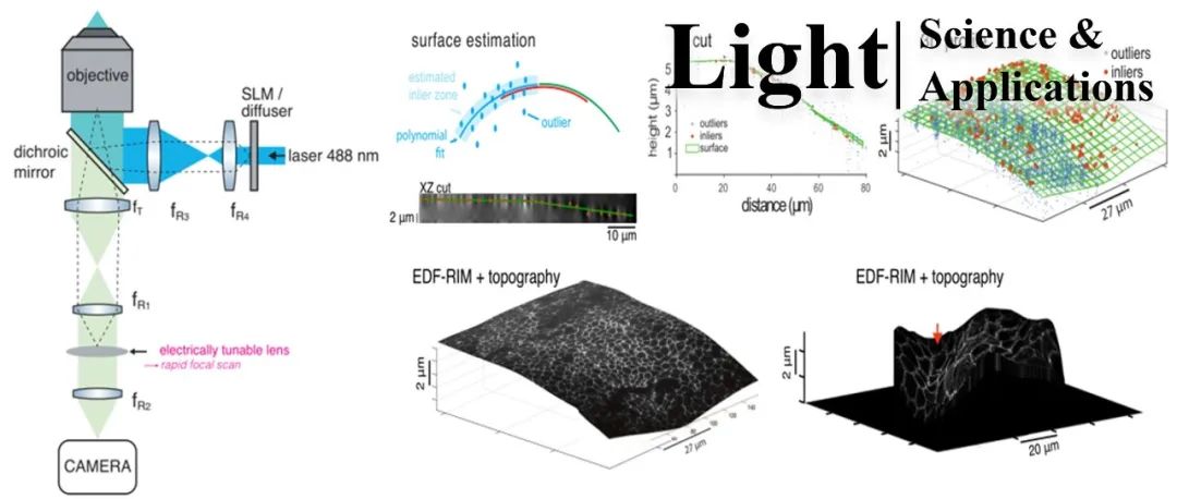 Light | EDF-RIM：扩展景深随机照明显微镜，实现超分辨率投影成像