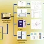 四川轻化工大学生物工程学院“白酒资源微生物与大数据”科研团队在国际权威期刊上发表研究论文