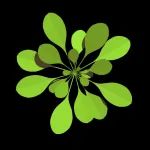 中科院院士：青年科学家5年内拿不出成果就面临淘汰！有的单位已现「马太」效应，重复给某一人奖励