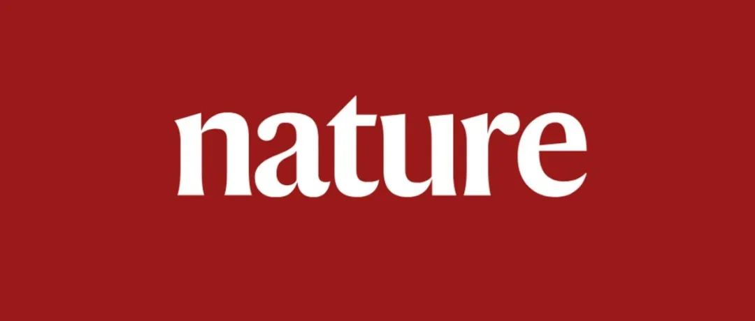 内蒙古大学，首篇Nature Reviews Chemistry，封面文章！
