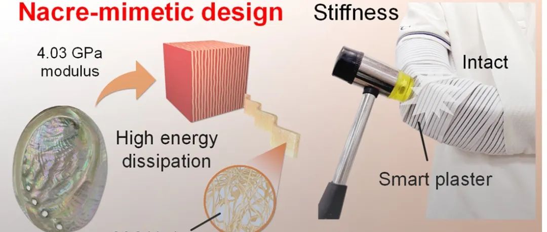 中国科大龚兴龙教授团队《Adv. Funct. Mater.》：剪切变硬胶基智能材料仿生设计策略助力可变刚度半主动个人防护