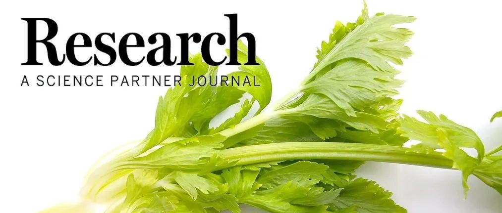 Research|香豆素糖苷为开发治疗多重微生物感染的抗生素替代策略提供新思路—中国农业大学朱奎教授团队新进展
