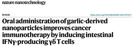 文献分享 | Nat. Nanotechnol. | 基于大蒜衍生纳米颗粒的经口给药抗肿瘤方法