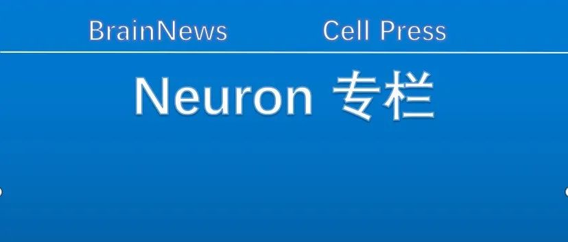 Neuron最新综述：自噬、衰老与神经退行性病