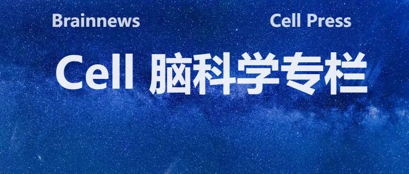 Cell: 李一丁等揭示记忆形成和提取的新神经机制