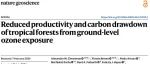 Nature Geoscience｜地面臭氧暴露导致热带森林生产力下降和碳储量减少