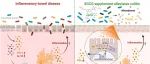 【作者解读】Redox Biology∣湖南农业大学吴苗苗教授揭示茶多酚EGCG通过肠道微生态调控Th1细胞，显著缓解肠炎