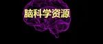 脑科学技能提升计划 | 2024.10月-11月