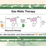 【JACS】罗潇、雷苑、杨有军、钱旭红合作报道：气体华尔兹疗法靶向机械应激和氧化应激以治疗青光眼