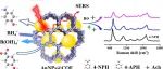 AC.基于共价有机框架杂交金纳米颗粒作为纳米酶的乙酰胆碱检测SERS传感器
