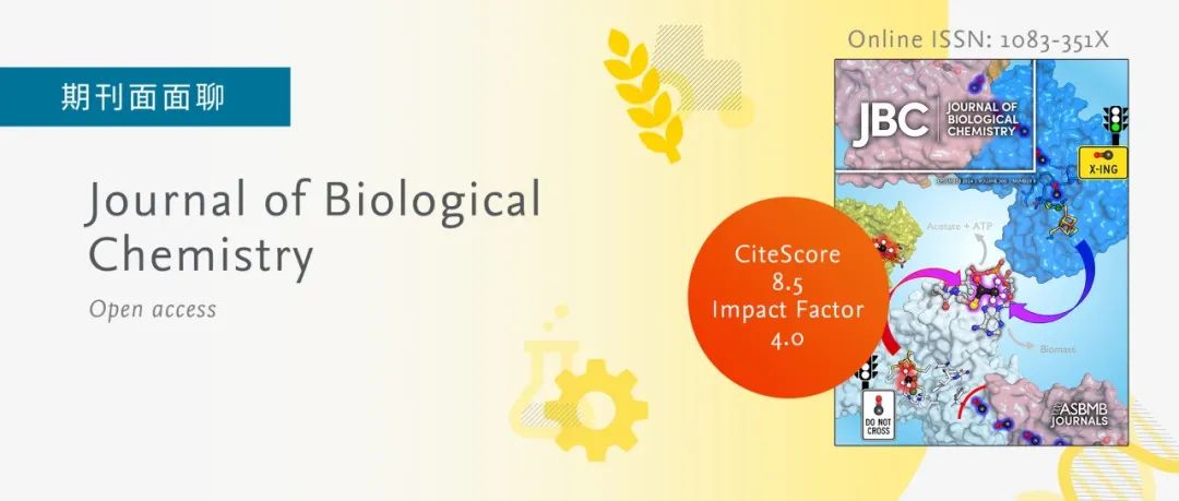 期刊面面聊 | Journal of Biological Chemistry：生物学2区Top期刊，初审时间短，影响力持续上升