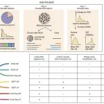 Nature Communications | 中国科大瞿昆团队实现染色体外环状DNA检测方法的系统性评估