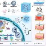 Small丨空军军医大学胡大海/官浩/王洪涛合作制备负载二甲双胍和氧化铈的水凝胶敷料恢复糖尿病伤口中细胞内外ROS稳态