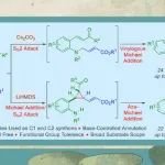 三峡大学黄年玉/姚辉/王能中团队Org. Lett.：碱调控吲哚和喹啉生物碱的精准合成