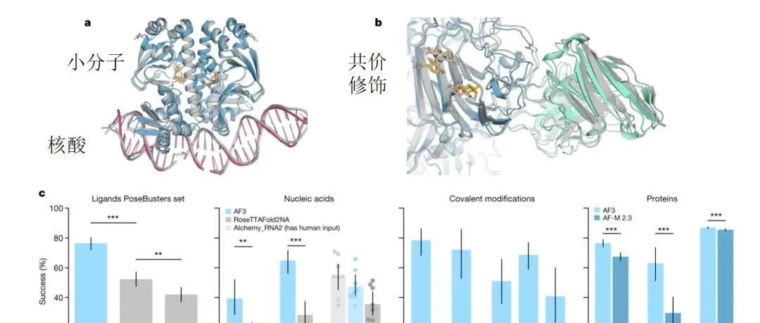 《Nature》| 2024年度最佳文章出现！成功开启新篇章，造就新时代！