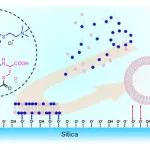 研究进展：脂质膜 | Nature Chemistry