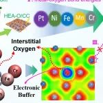 云南大学郭洪AM：高熵合金间隙氧掺杂助力多功能电催化