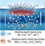 Nat Nanotech：中国科学院宁波材料所陆之毅团队实现电化学原位高通量合成过氧化物