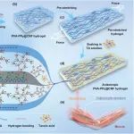Biomaterials：介孔氧化铈纳米酶可通过失巢凋亡相关途径有效阻止肿瘤生长和转移
