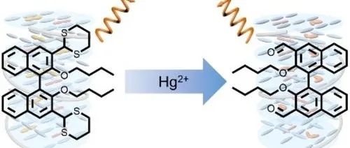 Angew. Chem. In. Ed丨联萘掺杂控制汞离子诱导胆甾相液晶圆偏振发光的符号反转