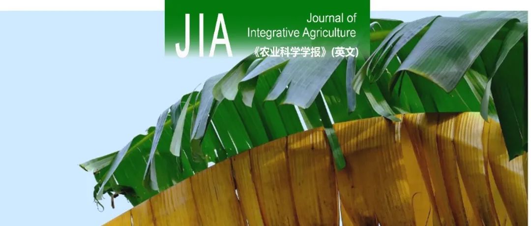 JIA｜中南林业科技大学周国雄教授团队创新香蕉叶病识别方法，助力农业病害防控