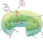 复旦大学安正华团队-非厄米磁子谱拓扑 | Nature Physics