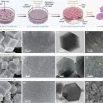 英属哥伦比亚大学 Zachary Hudson教授等 JACS：导向网状化学合成介孔ZIFs