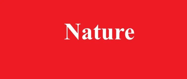 国家能源集团《Nature》：重大突破性进展，填补国际技术空白！