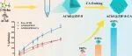 Langmuir.提高固定化乙酰胆碱酯酶活性的原位生物矿化和柠檬酸蚀刻策略