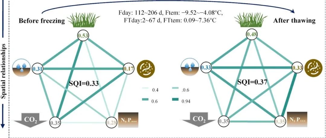 土壤质量指数丨SOIL BIOL BIOCHEM：自然季节性冻融过程对高山草地土壤质量的影响：土壤功能的启示